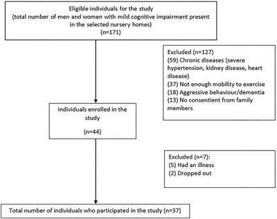 Multicomponent exercise program effects on fitness and cognitive function of elderlies with mild cognitive impairment: Involvement of oxidative stress and BDNF